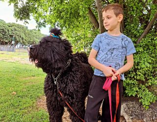 9948aa89-3185-430f-ab82-5d38a1e4bea9