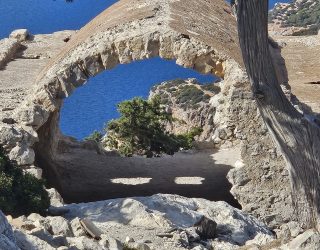 ac841b16-9a81-410d-a963-746b03a5d348