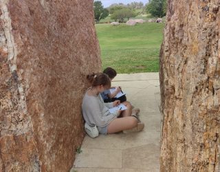 d61f80d3-20eb-49ca-9766-b6d67f429d1d